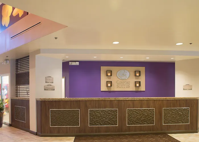 Comfort Suites Maingate East